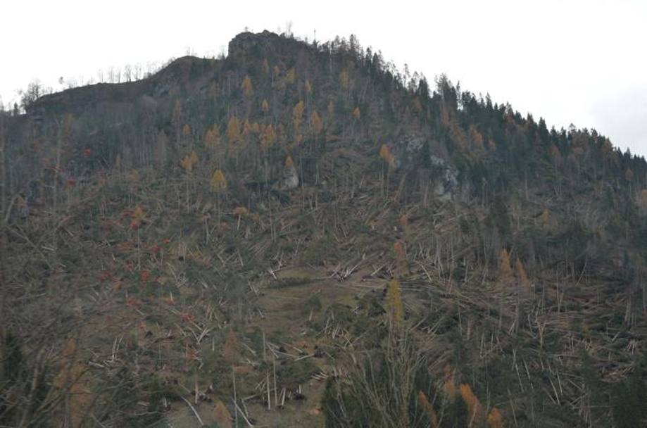 La devastazione dei venti a oltre 200 km sui boschi del Croce d’Aune: qui il 29 e il 30 ottobre si è scatenato l’inferno